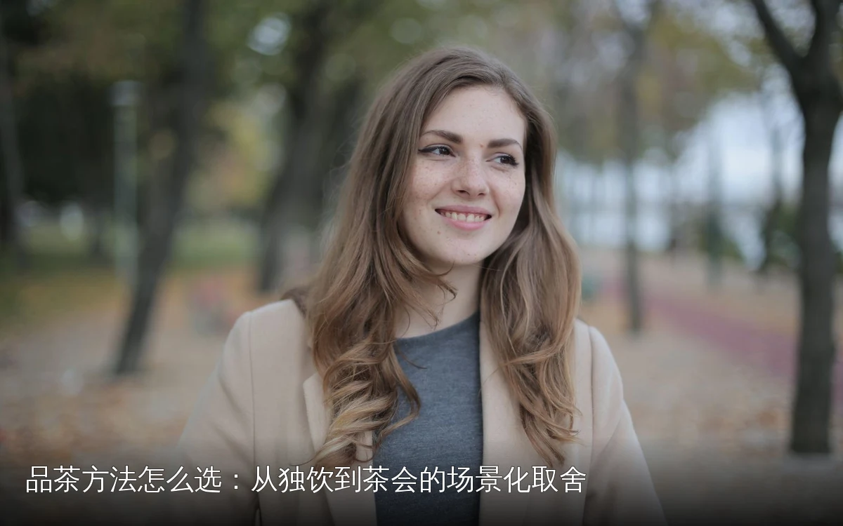 主题场景配图，仅作示意
